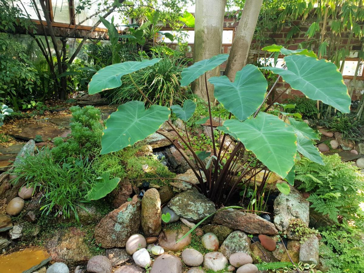 The Sanctuary - Garden Oasis In * South Fremantle
